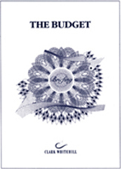 Design and illustration of brochure on the budget.