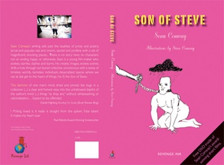 Design of book and cover. The use of ‘punk’ colouring and one of the illustrations
from the book was requested in the brief and intended to reflect the accompanying
the author/film-maker’s edgy DVD.